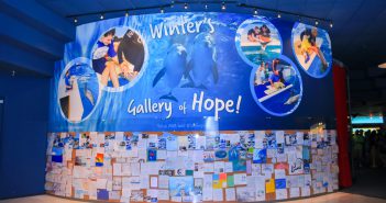 Winter's Gallery of Hope