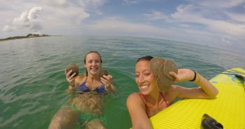 A stand-up paddleboard and snorkel tour with Hooked On SUP