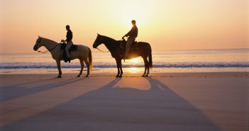 Beautiful beachside horseback riding tour