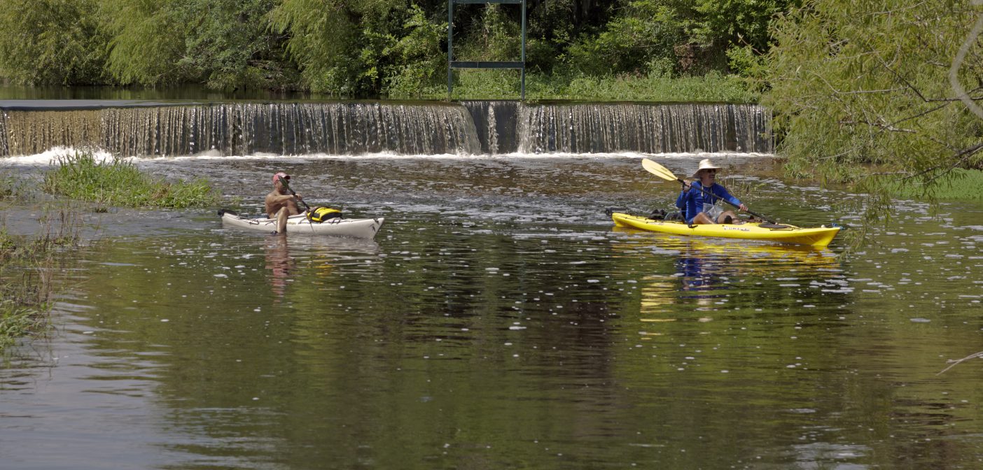 Top Five Places to Go Kayaking in Sarasota County - Allegiant Destinations