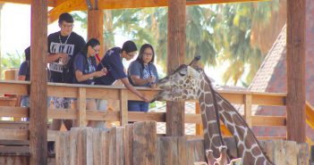 feed giraffes at wildlife world zoo