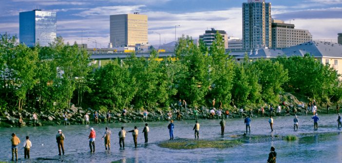 Anchorage, Alaska. Ship Creek Fishery supports Chinook Salmon and Silver Salmon runs in the heart of the city.