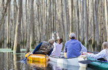 Family taking cell phone photographs in canoes on river