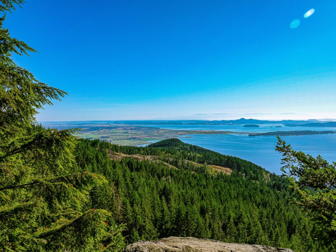 Oyster Dome Trail in Bellingham, WA. 
