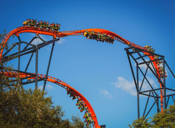 Busch Gardens is a popular amusement park in Tampa, FL.