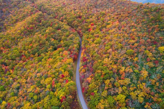 An aerial shot of the Blue Ridge Parkway in Asheville, North Carolina during autumn.