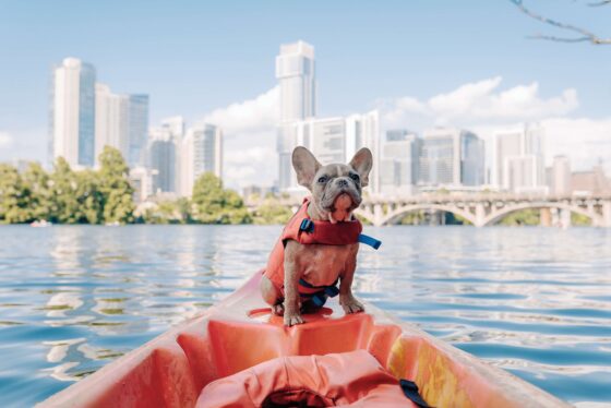Kayaking is a popular outdoor activity in Austin, Texas.