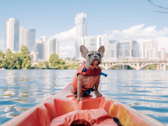 Kayaking is a popular outdoor activity in Austin, Texas.