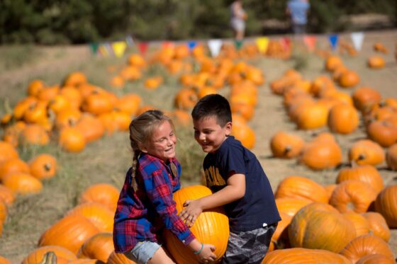 Visit the East Valley in Greater Phoenix this fall for fun family-friendly activities.