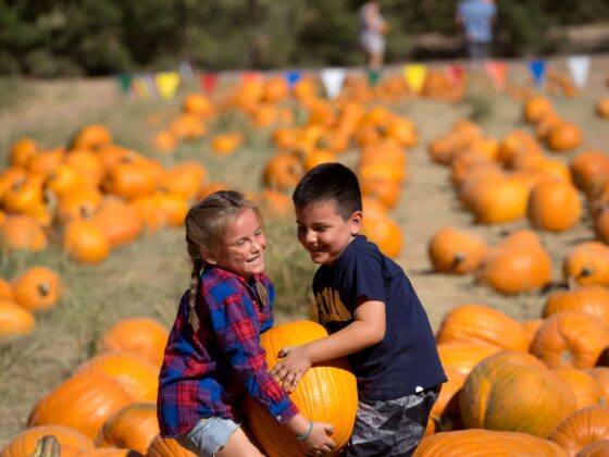 Visit the East Valley in Greater Phoenix this fall for fun family-friendly activities.