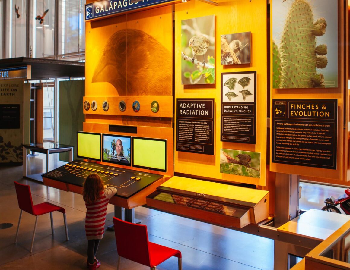 The California Academy of Sciences is a great place to take your kids when visiting San Francisco.