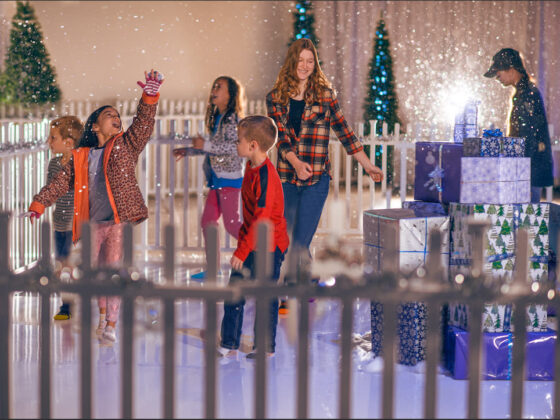Family ice skating is available at the Wichita Ice Center in Wichita, Kansas.